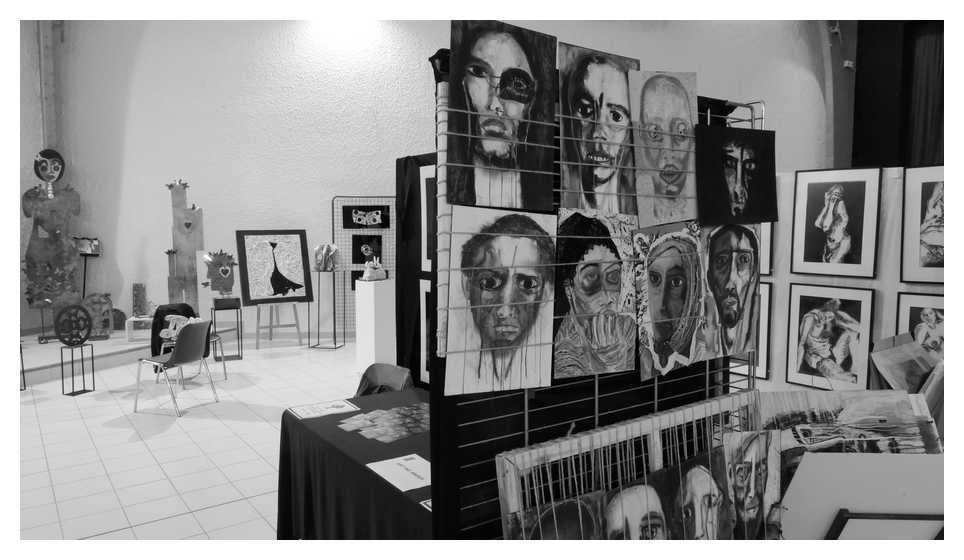 [LesIReels18_153-Salon-NB-display.jpg]