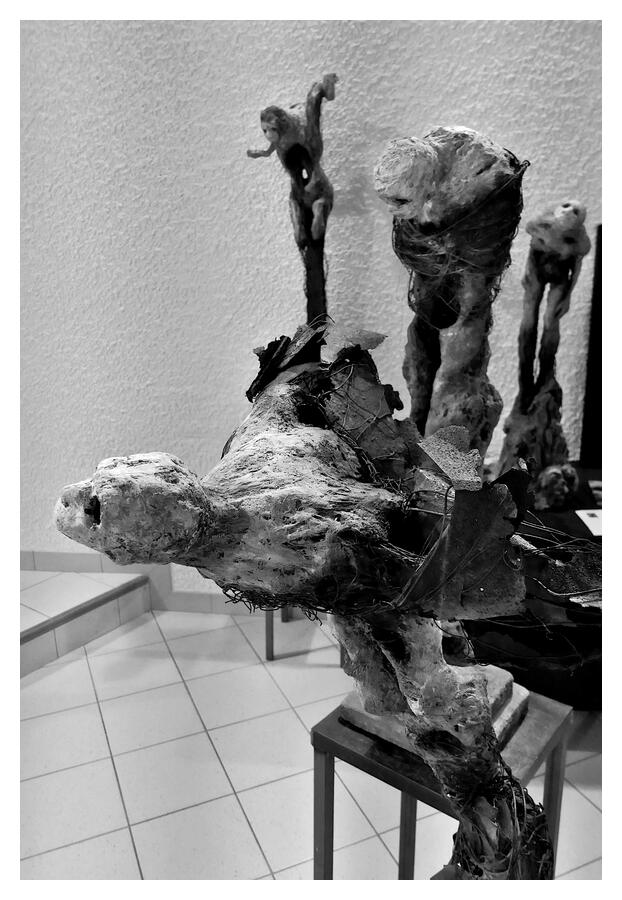 [LesIReels21_100-OEuvre-NB-wide.jpg]