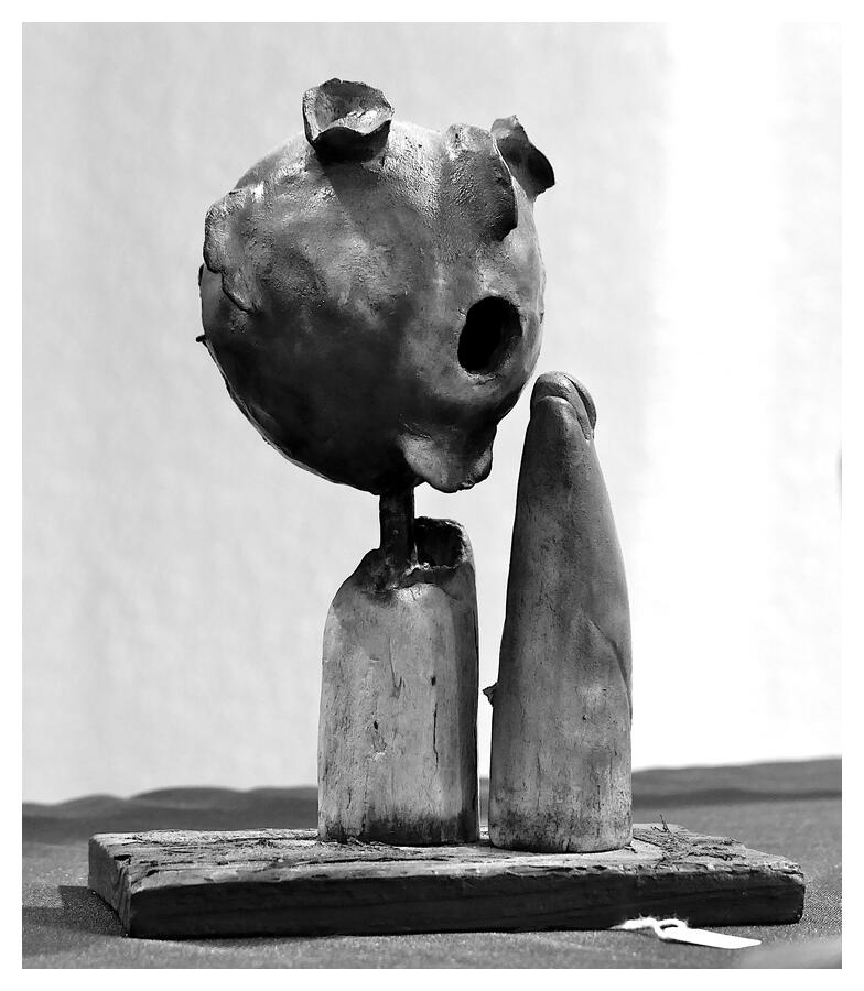 [LesIReels22_231-OEuvre-NB-wide.jpg]