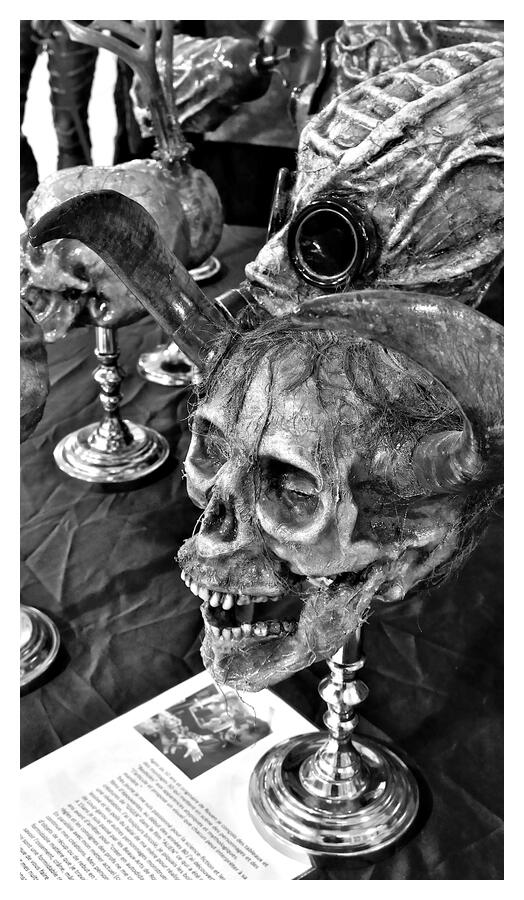[LesIReels23_208-OEuvre-NB-wide.jpg]