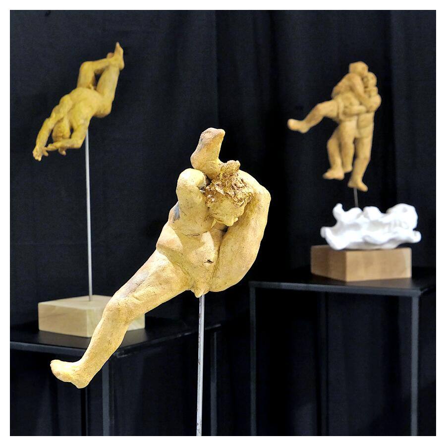 [LesIReels23_231-OEuvre-wide.jpg]