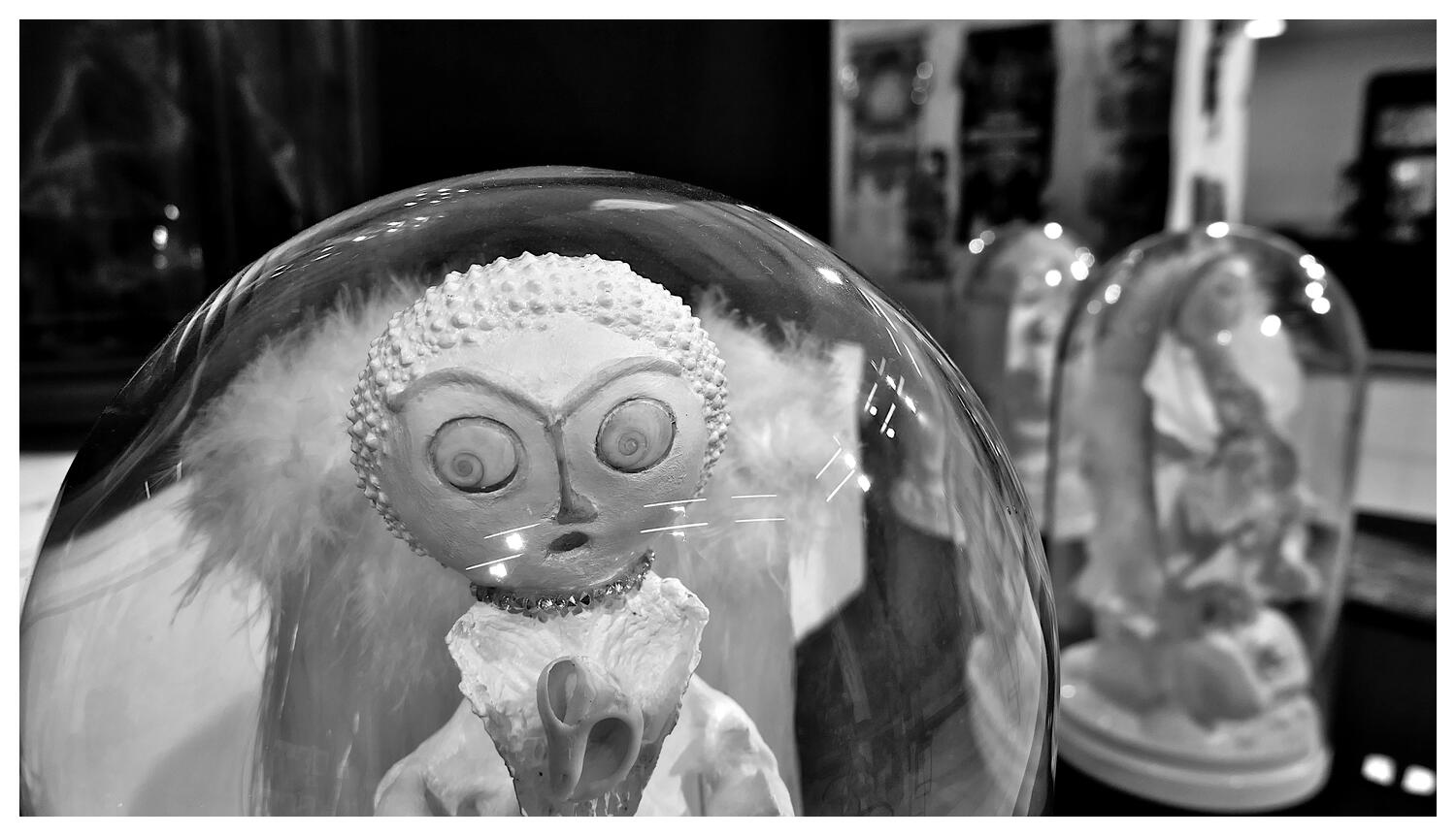 [LesIReels24_087-OEuvre-NB-wide.jpg]